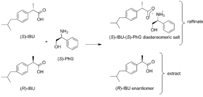 Fig. 1. Reaction scheme of the optical resolution of ibuprofen with (S)-phenylglycinol