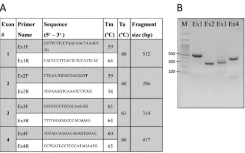 Figure 1. Primer details and PCR products