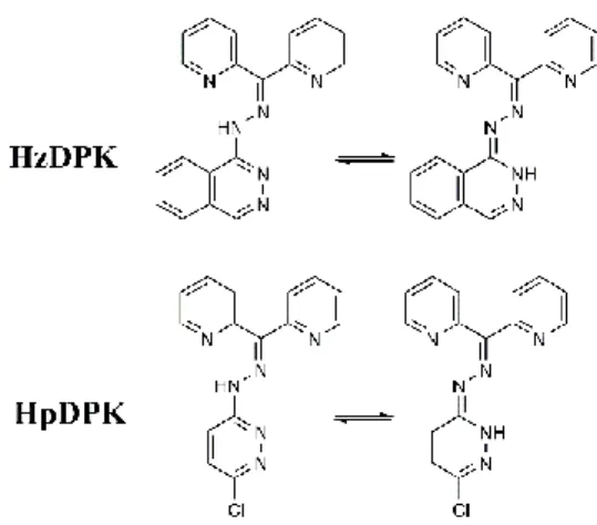 Figure 1 Prototropic tautomerism of the ligands  2 