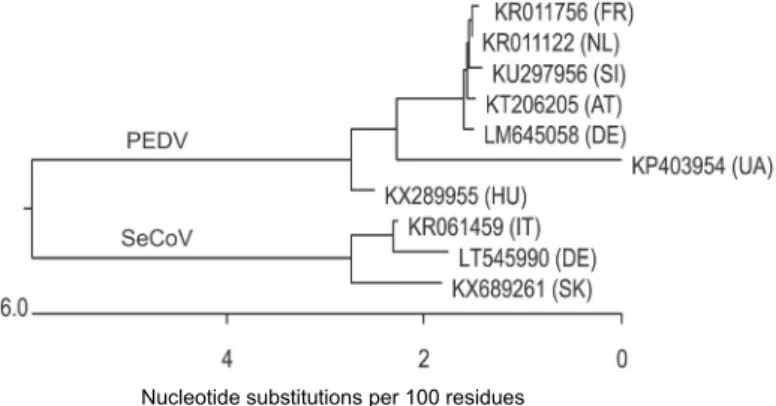 Fig. 2. Phylogenetic analyses of the S gene sequence (3941 bp DNA fragment) for selected SeCoV  and PEDV strains identified in Europe