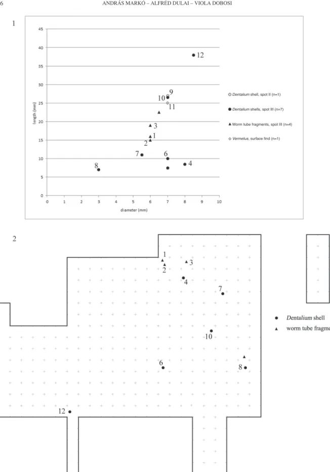 Fig. 6. Mogyorósbánya. Metrical data (a) and spatial distribution of the tubular fossils in settlement spot III (b)