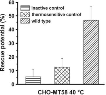 Table 1.  Effect of the overexpression of PfCCT protein variants on the fraction of live CHO-MT58 cells  cultured at 40 °C