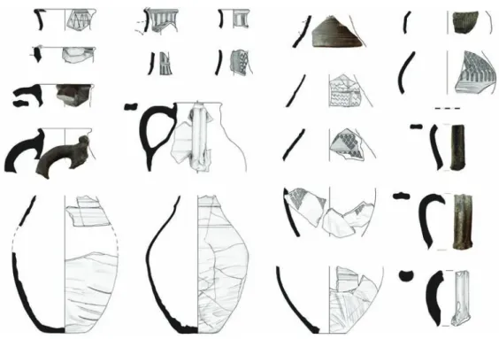 Fig. 14. Rákóczifalva-Bagi-földek 5–8–8A, Horizon 3. Typology of fine and coarse pottery jugs.