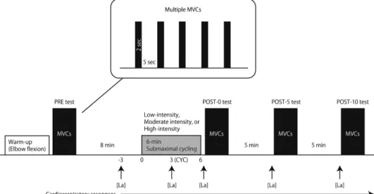 Fig. 1. Schematic presentation of the experimental protocol. The subject was asked to perform multiple maximal voluntary contractions (MVCs) tests with right elbow ﬂexion before (PRE), immediately after (POST-0), 5min after (POST-5), and 10 min after (POST