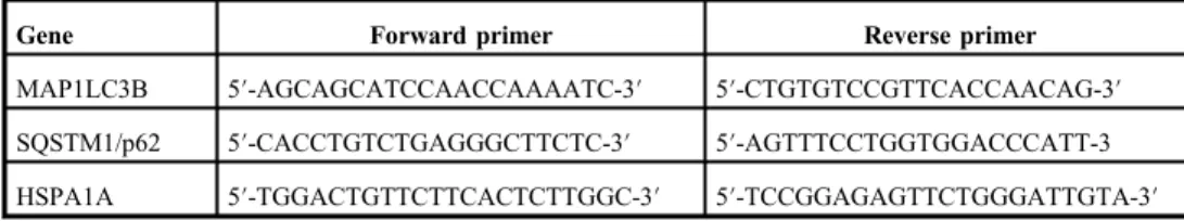 Table I. Forward and reverse primers used for qRT-PCR