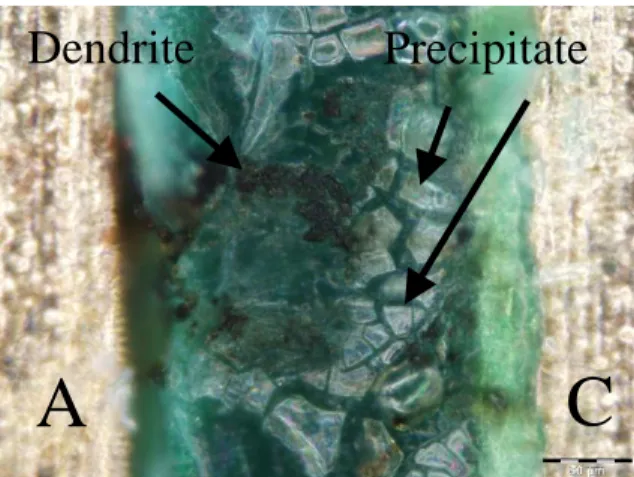 Fig. 6. Dendrites and green-blue colored precipitates were formed during the WD test.  