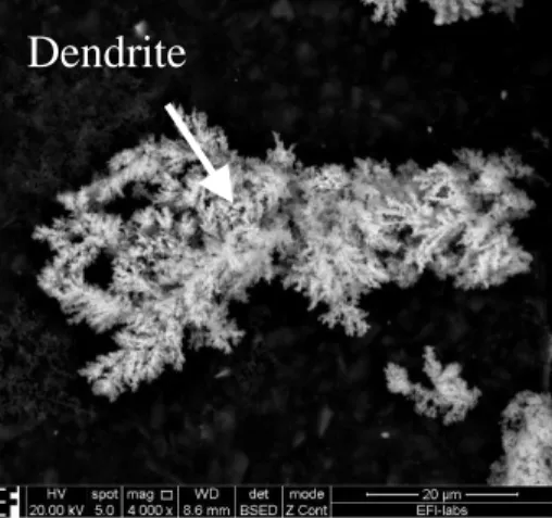 Fig. 11. SEM image of a dendrite and the spot were the data collected during EDX measurement in case of 10 mM