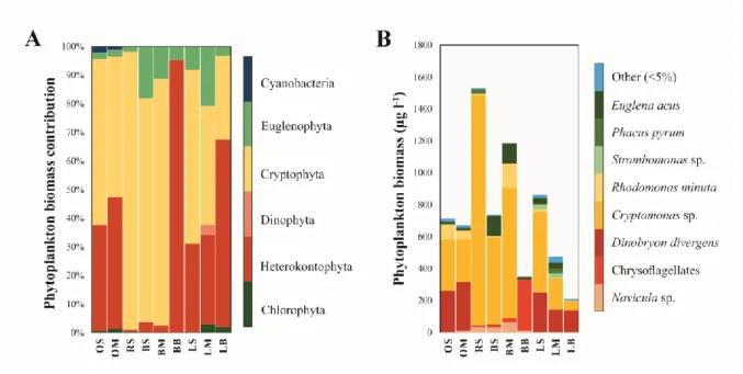 Fig. 3. Taxonomic composition of phytoplankton communities in Lake Kolon at the  phylum (A) and species level (B) based on microscopy data