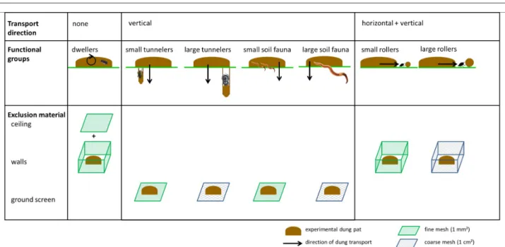 Figure 2. Functional groups defined in the experiments, the direction of dung transport for each group, and the type of  material used to prevent dung removal by each functional group.