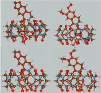 Fig. 2 Energy-minimized structures for B-CB7 (A), P-CB7 (B), C-CB7 (C), and EB-CB7 (D) complexes calculated by the DFT method