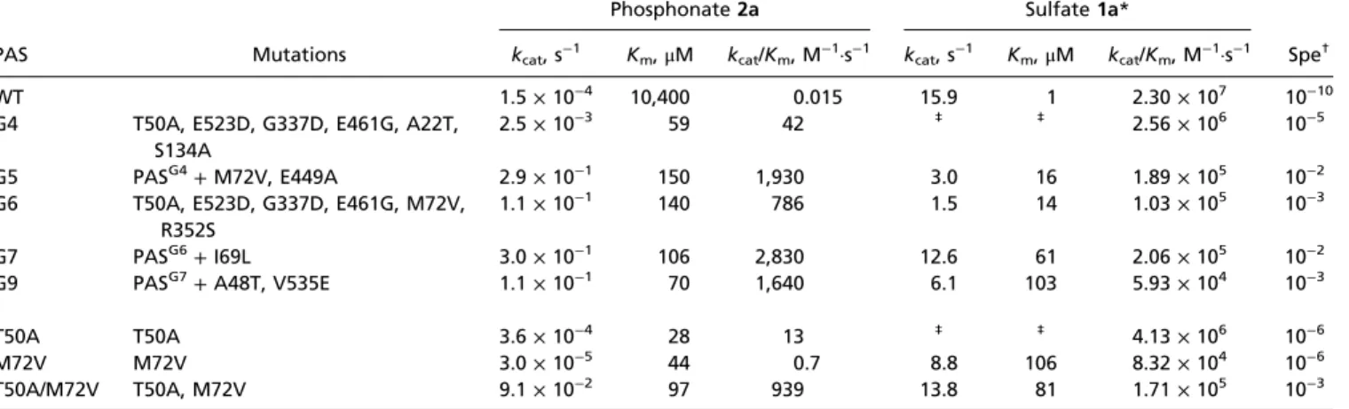 Table 1. Kinetic parameters of PAS WT and mutants at 25 °C, pH 8.0