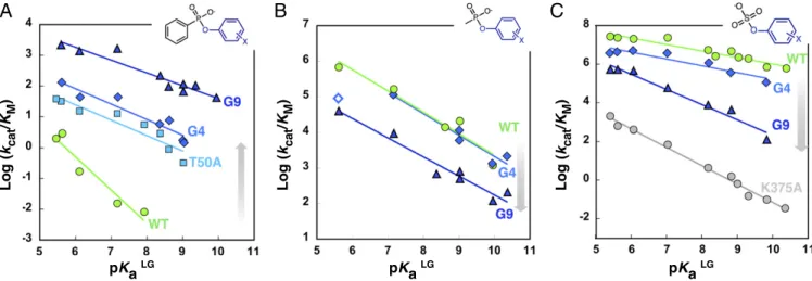 Fig. 5. Evolution alters the charge ‟ seen ” by the leaving group oxygen at the TS of promiscuous phosphonates 2c and 2d and native sulfates 1b
