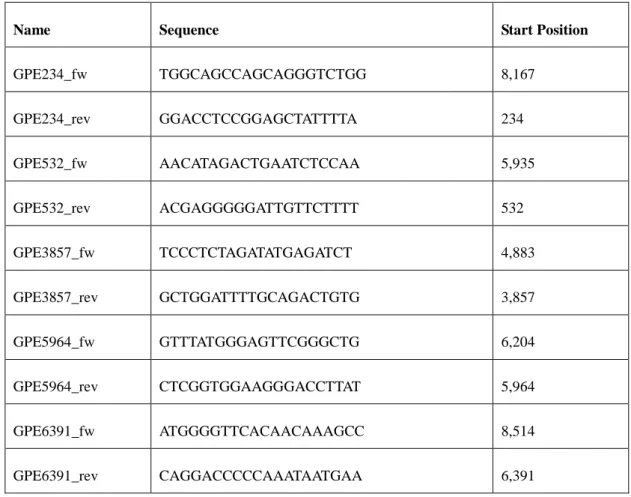 Table 2. Primers used for PCR analysis. The start positions mark the first nucleotide of the primer on the genome of PERV- PERV-Szeged 