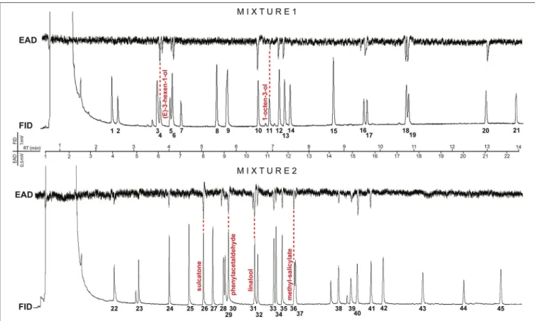 FIGURE 2 | Representative GC-EAD traces of gall midge odorant receptor neurons (ORNs) response profiles to plant volatiles