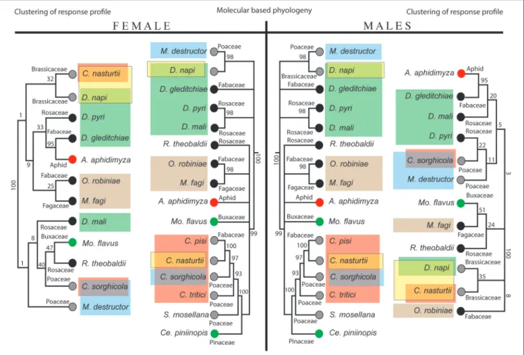 FIGURE 4 | Neighbor-joining trees of species-specific antennal response profiles (female on the left, male on the right) in comparison with molecular-based phylogeny (middle part of the figure)