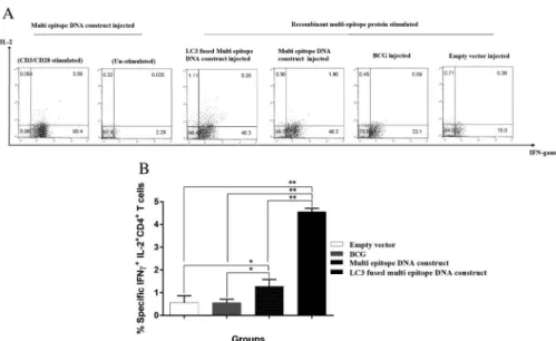 Figure 4. Flow cytometry analysis of epitope-speciﬁc bifunctional CD4 + T cells in BALB/c mice injected by LC3-fused multi-epitope DNA construct, multi-epitope DNA construct, BCG, and empty vector