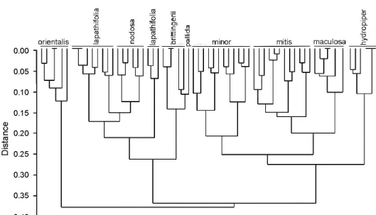 Fig. 2. MDS plot of morphological data  Fig. 1. UPGMA dendrogram of morphological data