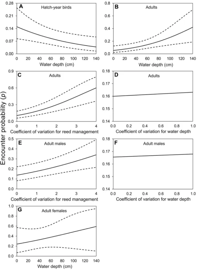 FIGURE 2. Regressions of encounter probability of (A) hatch-year birds, (B, C, D) all adults, (E, F) adult males, and (G) adult females of Great Reed Warblers as a function of the mean and coefficient of variation (CV) for water depth and the CV for the pr