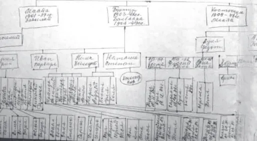 Figure 1. Hand-drawn family tree from the collection of the museum in Tarbaga.