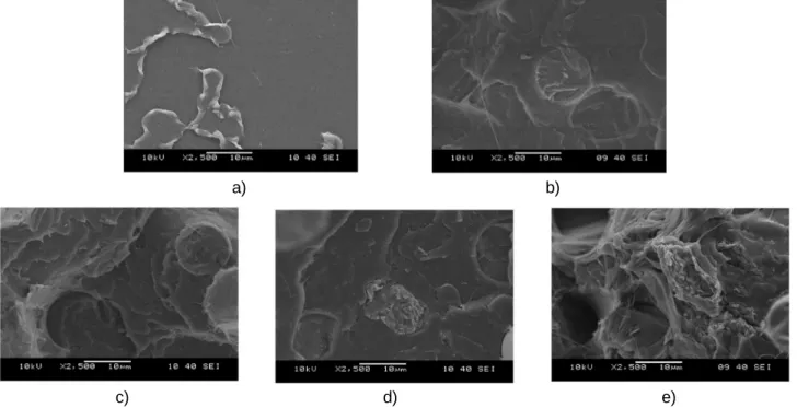 Figure 2 a SEM picture of a) pure poly(lactic-acid); b) basalt fibre reinforced poly(lactic-acid); basalt fibre  reinforced materials containing c) 1 wt.% d) 2 wt.% e) 3 wt.% montmorillonite 