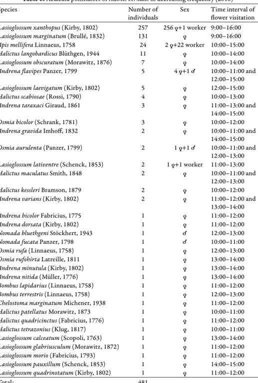 Table 6. Aculeata pollinators of Adonis vernalis in decreasing frequency (2018)