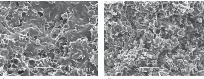 Figure 4. SEM micrograph of PLA/S47 composites containing 50 v/v% S47 recorded before (a) and after (b) water uptake measurements (100% RH).