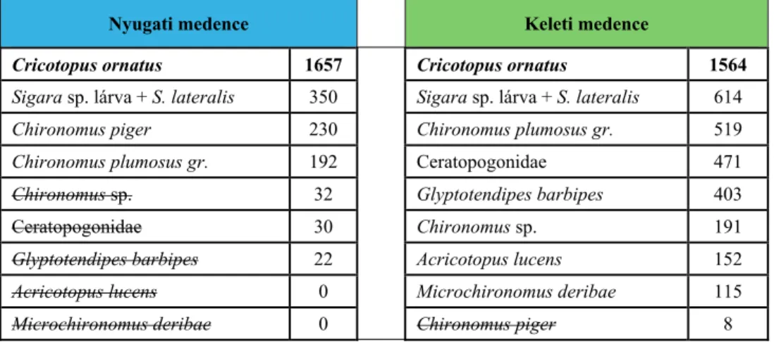 2. táblázat A keleti és nyugati medence együtteseinek domináns (félkövér) és szubdomináns  (normál) taxonjai