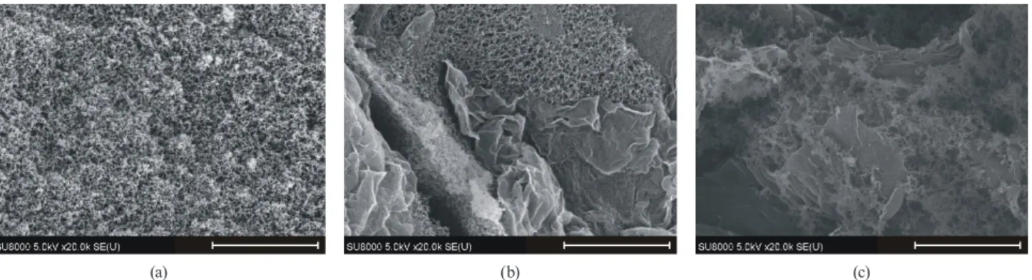 Fig. 3 reveals that the incorporation of the GO resulted  in the expected reinforcement of the polymer