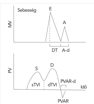 6. ÁBRA. A: Jellegzetes bal pitvari strainfelvétel; a: rezervoár, b: konduit, c: pumpafunkció