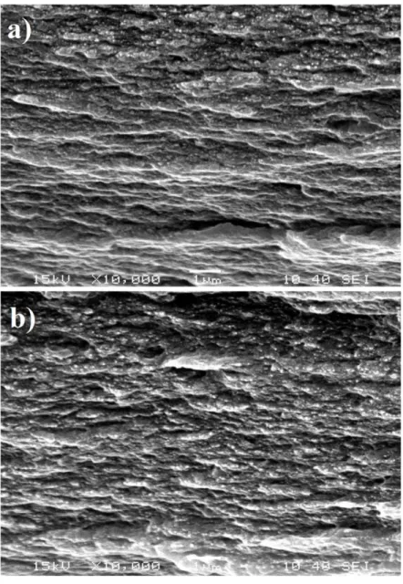 Fig. 2. Scanning electron photomicrographs of the fractured surface of flax-CNC films: (a) 290 