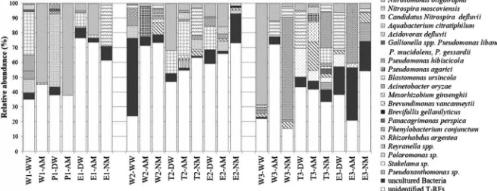 Figure 3. Stacked-bar graph shows the detection frequency of bacterial clones obtained from drinking water and nitrifying enrichments based on bacterial 16S rRNA gene digested by AluI