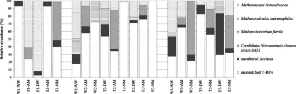 Figure 4. Stacked-bar graph shows the detection frequency of archaeal clones obtained from drinking water and nitrifying enrichments based on archaeal 16S rRNA gene digested by AluI