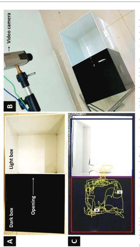 Fig. 1. Light dark box (A), camera settings for the study (B) and representation of zones (dark box-red zone, light box-blue zone) and path taken by a rat  in both the zones during LDB test (C)