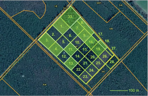 1. ábra: A fafaj-összehasonlító kísérlet során kialakított parcellák elhelyezkedése a Nagylózs 5F erdőrészletben,   zöld színnel jelölve a vizsgálatra kiválasztott parcellák (http://erdoterkep.nebih.gov.hu/)
