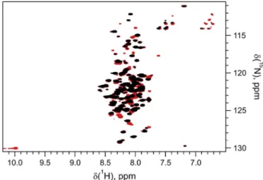 Fig. 3. Overlay of the 1 H- 15 N transverse relaxation-optimized spectroscopy of hCSD1 (black) and avi-hCSD1 (Red)