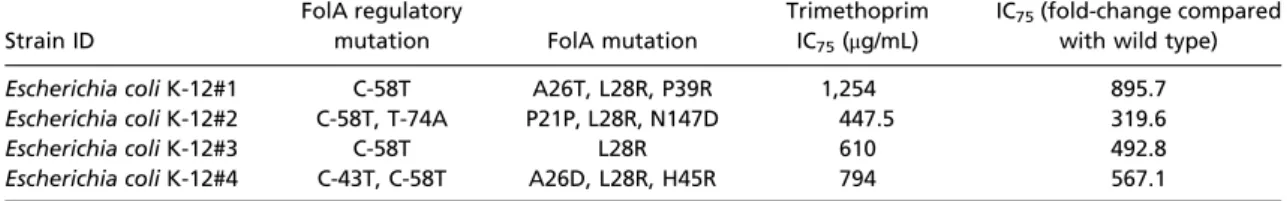 Table 3. Trimethoprim susceptibility of individually selected E. coli K-12 MG1655 folA mutants after two rounds of consecutive mutagenesis-selection cycles