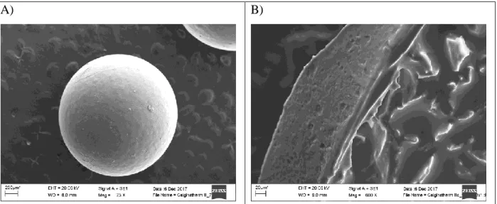 Fig.  9.  SEM  images  of  calcium  alginate  microcapsule  containing  coconut  oil  (A)  and  its  cross- cross-section (B)