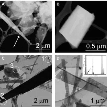 Fig. 1. mAra from the drip water sample and from the top layer of the aragonite  flowstone