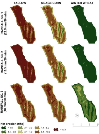 Fig. 4. The intensity of the net erosion in the Svacenický creek catchment 