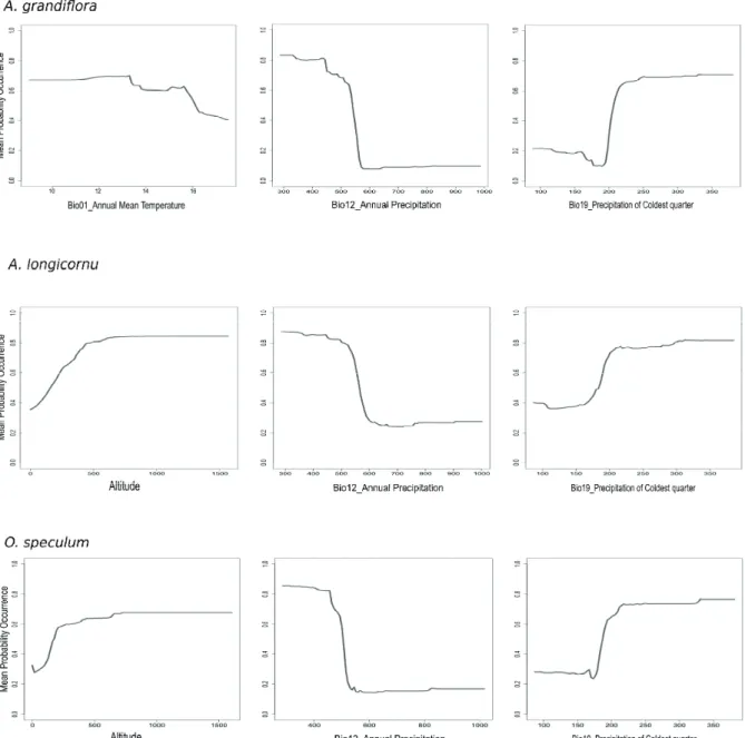 Figure 1. Response variables graphs for the three most important predictors as far as Anacamptis papilionacea var