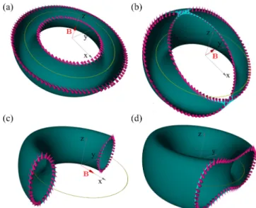FIG. 1. Evolution of the cross sections by planes perpendicular to magnetic field of the torus Fermi surface is shown: (a) magnetic field in z direction; the winding of the vector d(p) (magenta cones) reveals topologically trivial character
