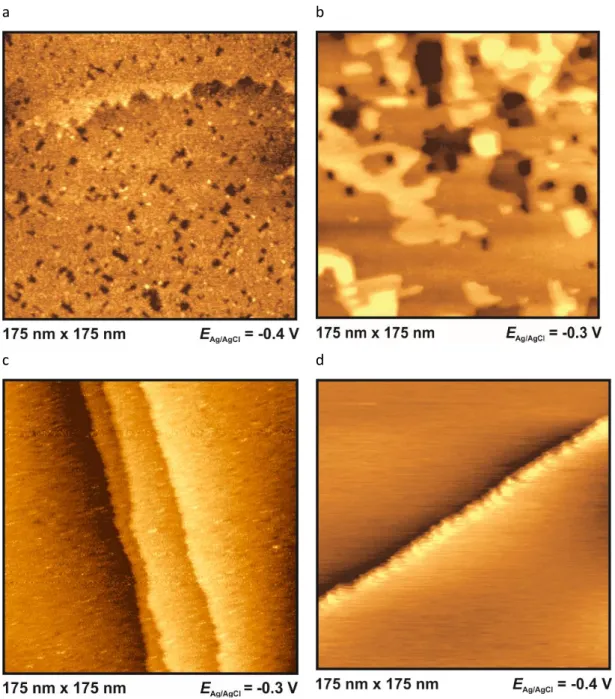 Fig. 4. In-situ STM images in BMIPF6 at –0.3 V or –0.4 V for Au(100) (a), Ag(100) (b), Pt(100) (c) and  HOPG (d)