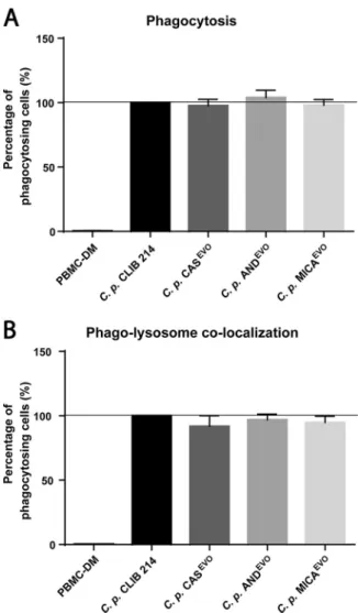 FIG 4 Flow cytometric analysis of phagocytosis and phagosome maturation in PBMC-DMs after infection with C
