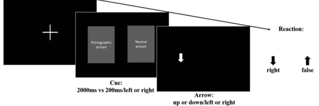 Figure 2. Representation of sequence for the Visual Probe Task. Participants had to react on an arrow pointing up or down, which appeared either after a pornographic or neutral picture