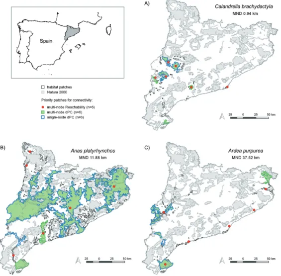Figure 4. Habitat distribution and priority patches of three species of different dispersal ability (MDN: median natal dispersal distance� 