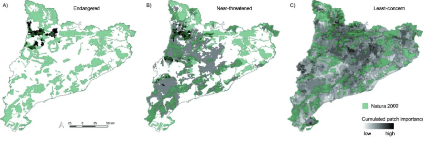 Figure 5. Priority areas for connectivity for 19 species (excluding the invasive M. monachus� in Catalonia, showing A� endangered  (only N