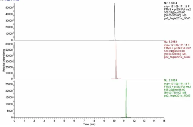 Figure 2 | Chromatographic separation of BPA (upper chromatogram), E2 (chromatogram in the middle) and EE2 (bottom chromatogram); 250 pg derivatized standard of each analyte on column.