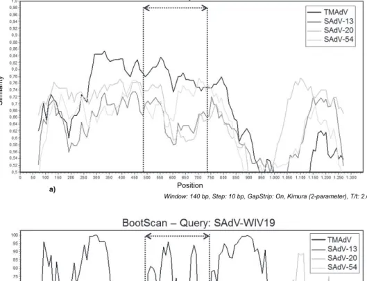 Fig. 3. (a) SimPlot and (b) BootScan analyses of the IVa2 gene of simian adenovirus 13 (SAdV-13),  SAdV-20, SAdV-54 and titi monkey AdV (TMAdV) relative to SAdV-WIV19
