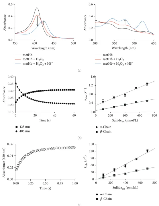 Figure 6: Reactions of ferrylHb with sul ﬁ de. (a, left and right panels) Representative UV-vis spectra of 4 μ mol/L metHb (black line), reaction of 4 μmol/L metHb with 8 μmol/L H 2 O 2 after 400 s (red line) and reaction of 4 μmol/L ferrylHb with 100 μmol