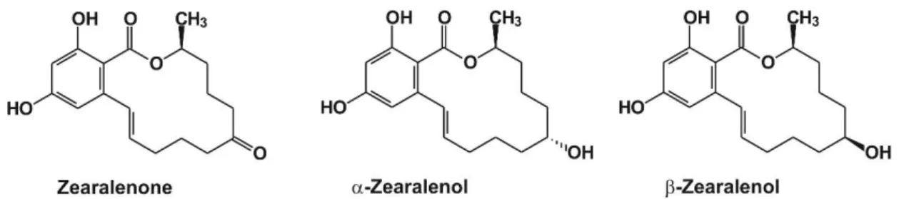 Figure 1. Chemical structure of zearalenone and its reduced metabolites, α- and β-zearalenol